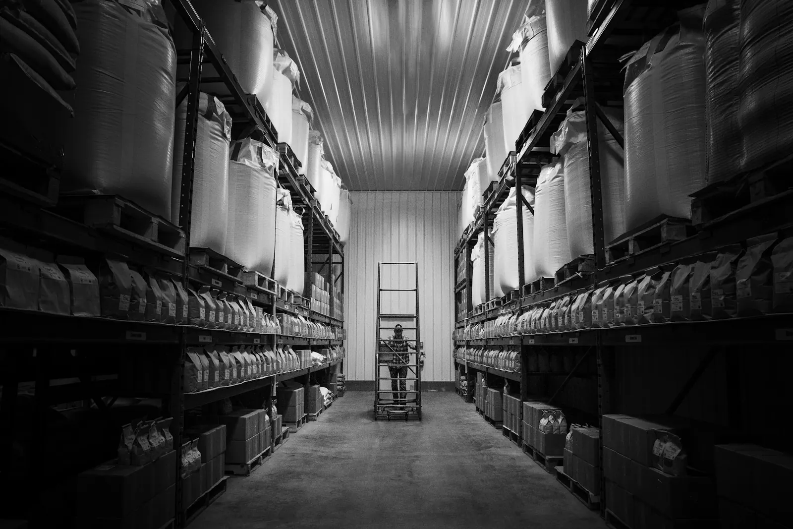 Warehouse aisle with shelves full of boxes